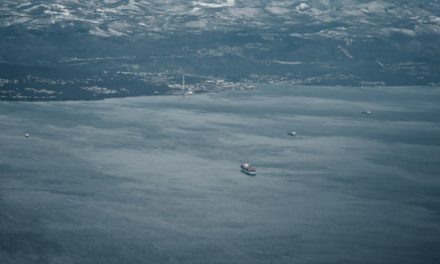 Colorado’s Best Road Trips: From the Rockies to the Desert