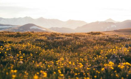 10 Must-See Destinations in Colorado for Summer Fun