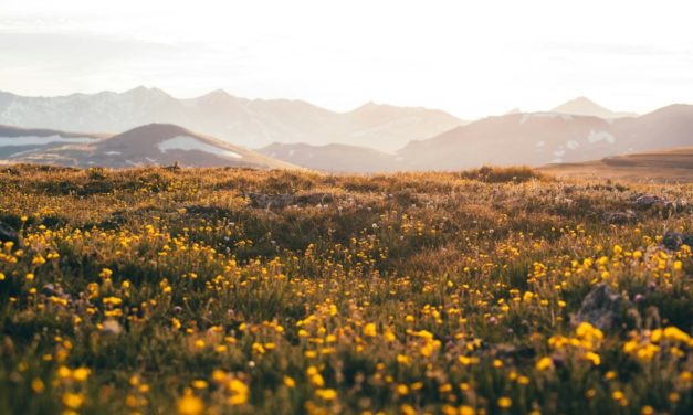 10 Must-See Destinations in Colorado for Summer Fun