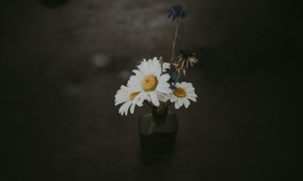 Springtime in Colorado: Top Things to See and Do