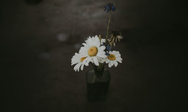 Springtime in Colorado: Top Things to See and Do