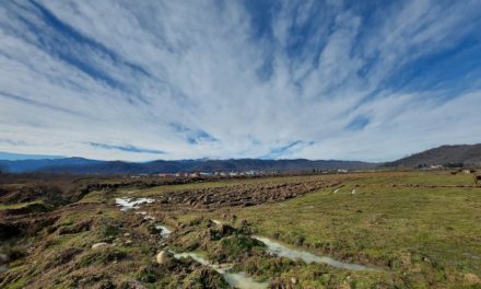 Colorado’s Top Music Festivals: From Jazz to Bluegrass