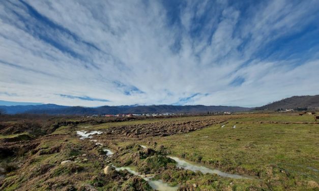 Colorado’s Top Music Festivals: From Jazz to Bluegrass