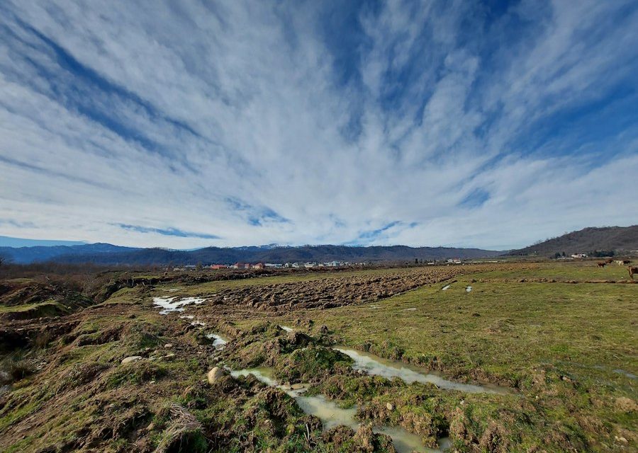 Colorado’s Top Music Festivals: From Jazz to Bluegrass