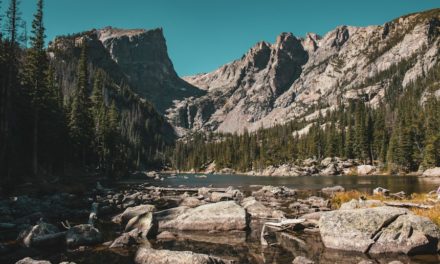 The Best Places to See Wildlife in Colorado