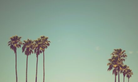 Experience the Magic of Summer in Boulder, Colorado: Top Activities to Try