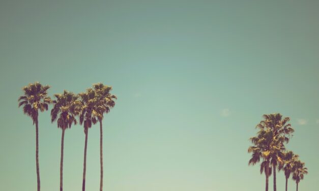 Experience the Magic of Summer in Boulder, Colorado: Top Activities to Try